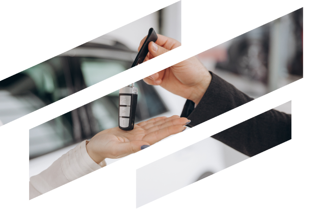 Chcete od nás rovnou odjet v novém?